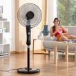 Kép 2/7 - Álló Ventilátor Fekete - Innovaagoods