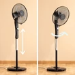 Kép 5/7 - Álló Ventilátor Fekete - Innovaagoods