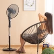 Kép 3/7 - Álló Ventilátor Fekete - Innovaagoods
