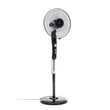 Kép 1/7 - Álló Ventilátor Fekete - Innovaagoods