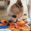 Kép 4/11 - Pets kisállat szimatszőnyeg - Innovagoods